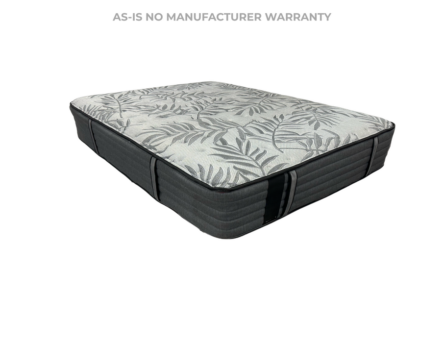 Posture Support Plus